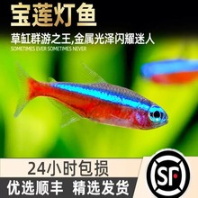 ������ɏ���~��ˮ�ݸןᎧ�~ˮ��С�ʹ�t�G�����~�^�p�~Ⱥ�λ��w