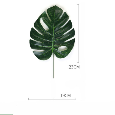 Hoja de Tortuga Verde mediano