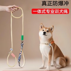 防爆冲狗绳p绳不勒手跨境狗狗遛狗绳厂家宠物p链小中大型犬牵引绳