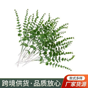 ���R�d�羳�����֧���~������~�������X�~�Ҿ��b�ֲ��߷���