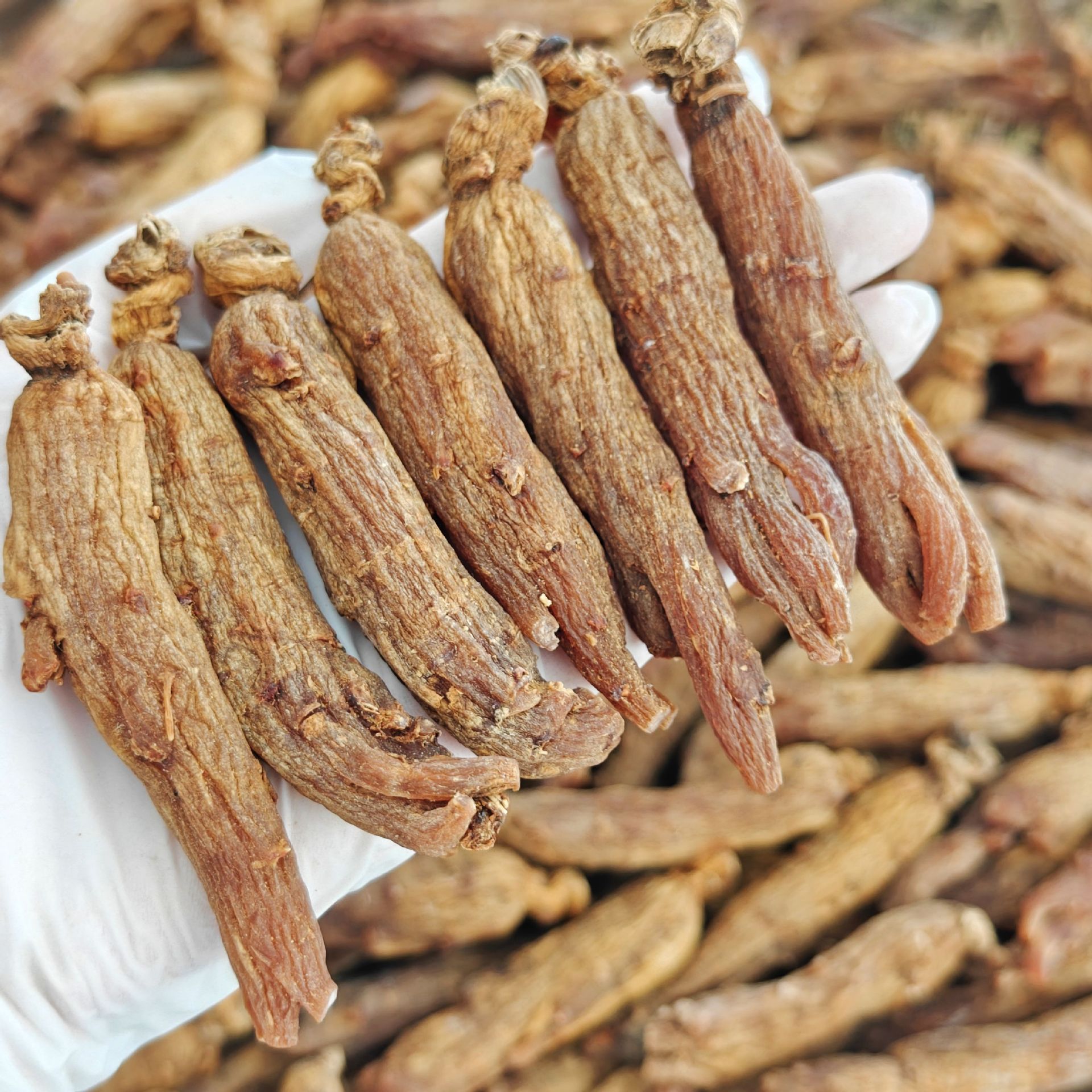 Premium Sugar-Free Red Ginseng Whole Roots and Slices Hong Shen Changbai Mountain 12 Year 500g Bulk Pack overview