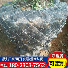 包树铁丝网包土球树根网树木移栽镀锌铁丝网树根网苗木树根网兜