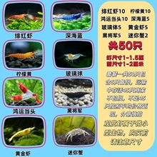 ��ɫ�����r�����߲��~���坍�r�rˮ���r�r�^�p�r�O���r����ѻ��r