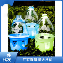 鸽子用品用具鸽具鸽用水壶喂水饮水器信鸽自动喝水壶大号加安金协