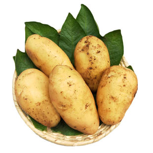 10��������]���r�SƤ���r�߲ˬF�ڼtƤ�S�������R���
