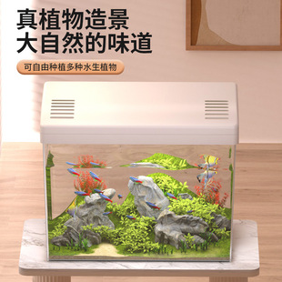 Square Creative Fish Tank Living Room Mini Small and Medium-Sized Household Aquarium Transparent Goldfish Tank Turtle Tank Desktop Vase