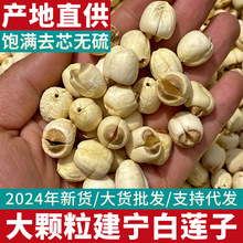 ����ɏ�Ӹ�؛���l���w��ȥоͨо�oо�r���ֹ��ؼ���ɏ�Ӹ����خa