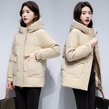 ���l�������b��q���n��Ů�����BñС���ӱ�ů�����q��a�̿�����