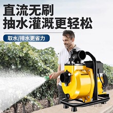 ����׃�l�oˢֱ��������48V60v72��������늄�܇��ˮ�C�ƿ܇ˮ��