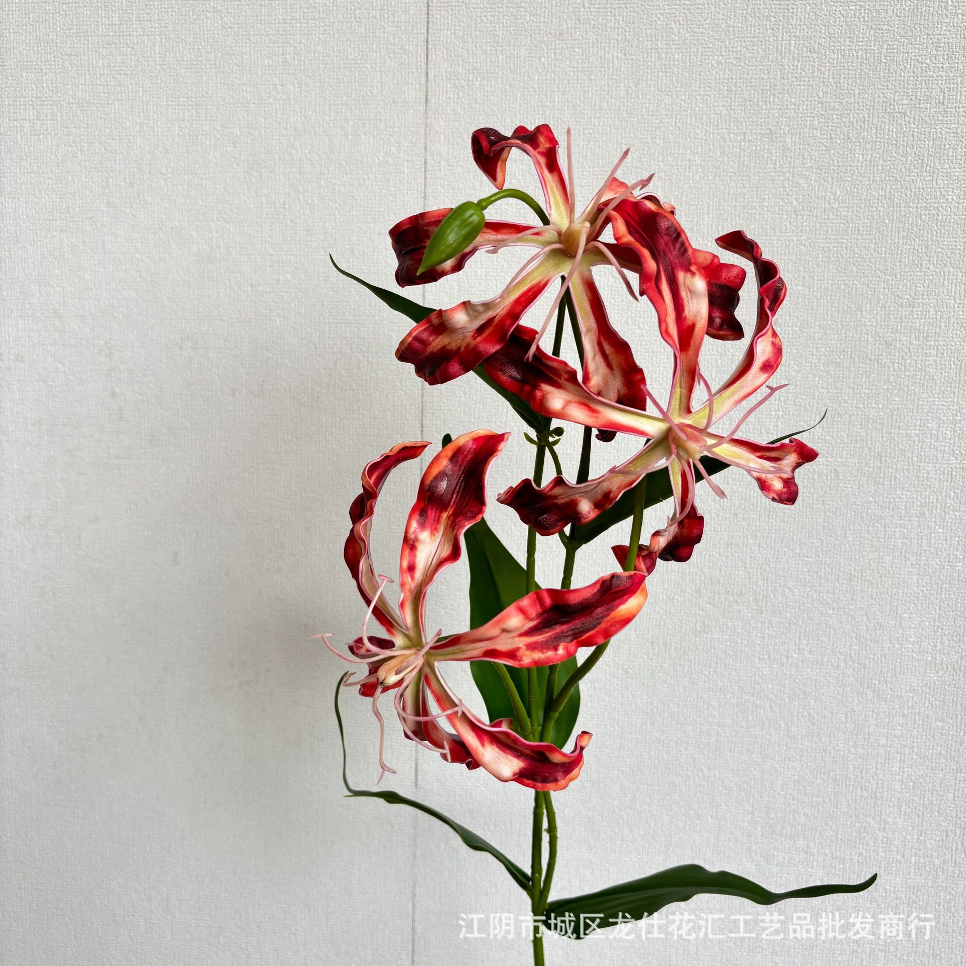 3 헤드 터치 지아란