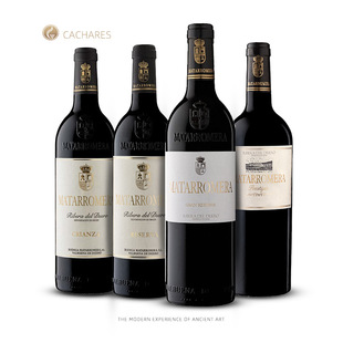 CACHARES�P������������ׯԭƿ�M�ڼt�Ƭ����_÷���ؼ��ɼt���Ѿ�