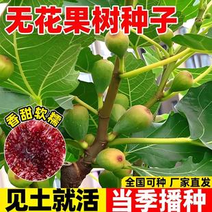 �o�����N���ļ�ͥԺ���N�׻��ͺ��۹��N�̝{�����ɹ��������N��