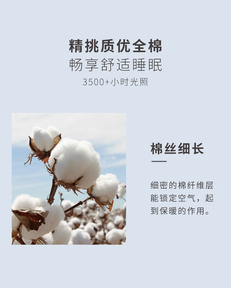 详情页_11.jpg