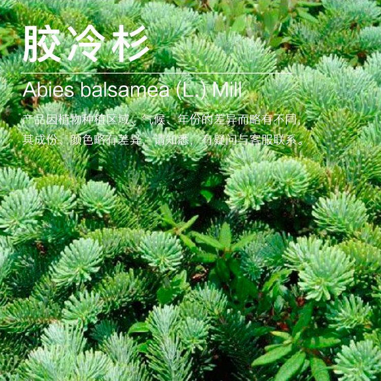 ���ҹ�Ӧ����ɼ����  ��֬��ɼ ������ȡ��ɼ ֲ��������������ӭ