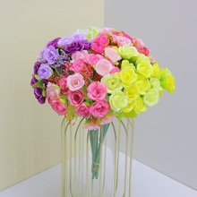 7��21���ʯСõ�ٷ��滨�����ֹ���cõ���b[��