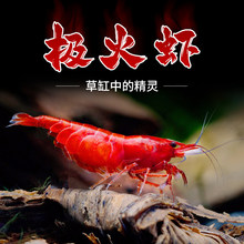 �ښ��r�����^�p�r��ˮ�~��С�r�坍���߼��B��ɫ�r��O���rˮ���r