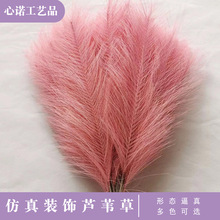 ���R�d�����JȔ��֧�廨�ҾӺ��s�b�����˹��ë�羳������Ȕ���l