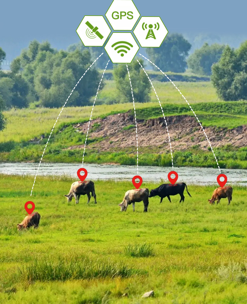 5g Cattle and Sheep Tracker Gps Solar-Powered Locator for Remote Tracking in Mountainous Areas, Popular for Cross-Border Use