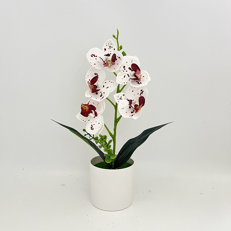 점박이 보라색 (높이 31*가로 17cm)