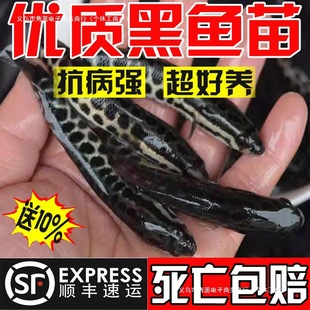 ���~�絭ˮ�Bֳʳ�ú��B���k��ؔ�~����w��ˮ�^�p�~С���l���~��