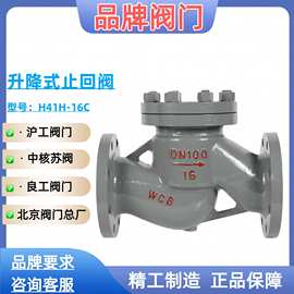 中核苏阀/良工 沪工 精工 双恒铸钢升降式止回阀H41H-16C