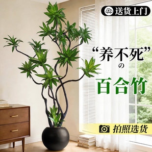�ٺ���͏d�Gֲ�����Խ�߅�ٺ���߼����҃ȴ�����լ�Ϙ�ֲ����B