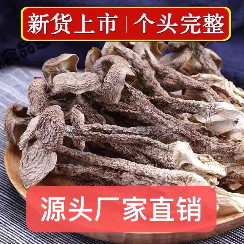 【无干燥剂】鹿茸菇干货新鲜特产鹿耳菇香菇菌菇虫煲汤炒菜|undefined