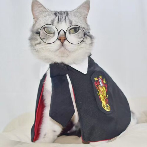 Cat Pet Dog Harry Potter Magic Cape College Cloak Small Dog Scarf Halloween Cape