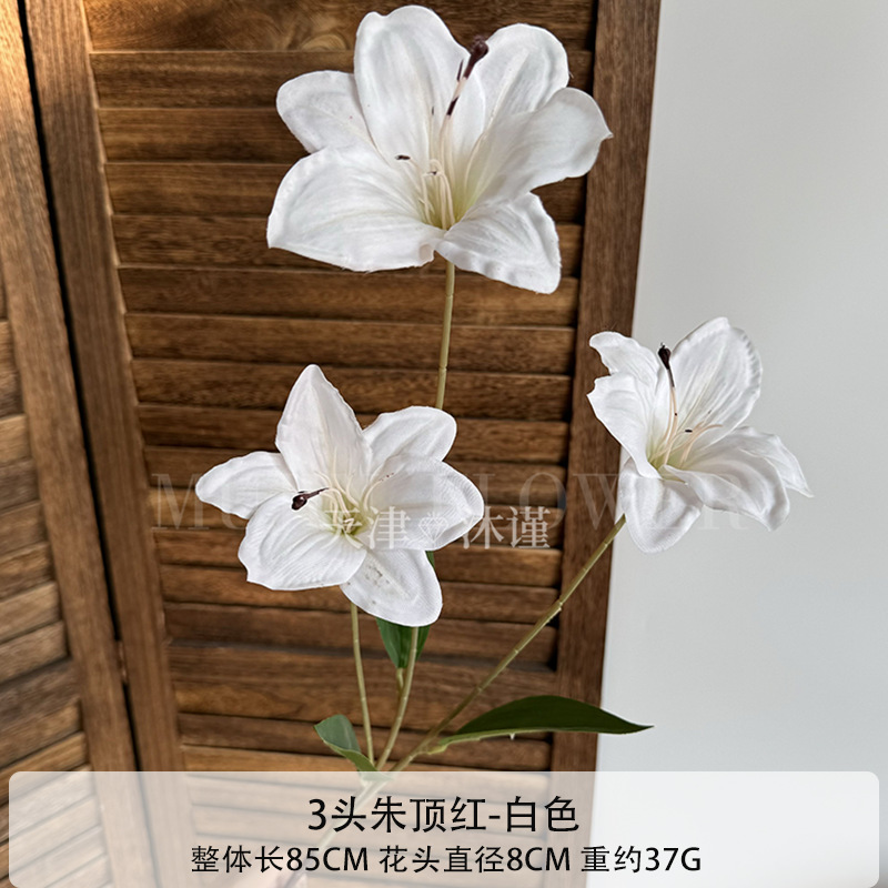붉은 머리 3개