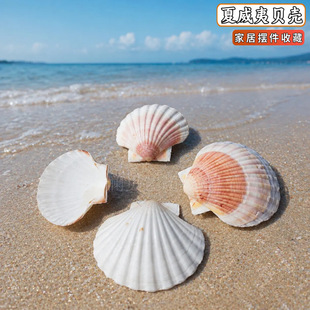 ��������ؐ��Ȼ����ؐ��DIY�L��������Р��N�~��ɺ���쾰