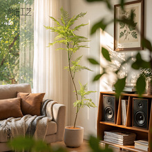 蓝花楹室内仿真绿植盆栽大型仿生植物假树高端轻奢客厅装饰品摆件