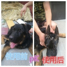 狗狗立耳神器幼犬狗立耳器德牧柯基杜宾马犬莱州红卡斯罗博美胶水