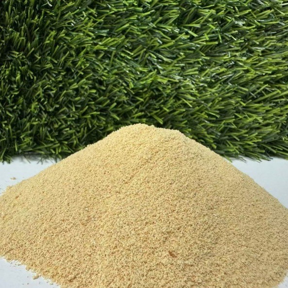 2025-05-09 17:00:59.jpg