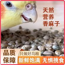 СSBZW^BZĵ˸PСBZwѸCخa