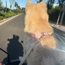 ����؈�䌙����K������Ʒ�޹��K���Ȧ������ӱ���С�����