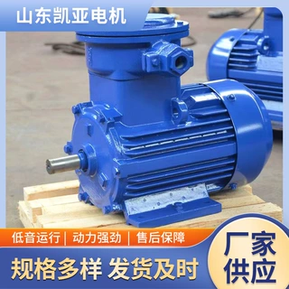 防爆电机2.2kw/355kw厂家直发YBX3 YBX4 YBX5 YBBP山东电动机厂