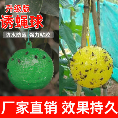 果樹の柑橘の粘虫のボールはハエのボールの実のハエの大きさの実のハエの針の前線の菜園を誘います。