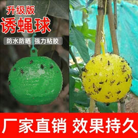 其他园林资材;防虫防蛀;苍蝇拍