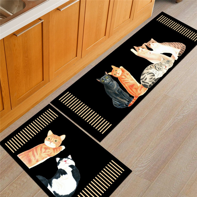 conew_5只猫3