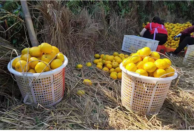 微信图片_20231222213107