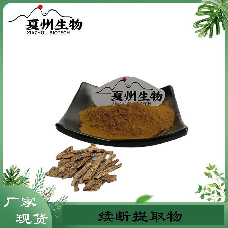续断提取物10/20/30/50:1 接骨草提取物  夏州生物 量大从优 kg装