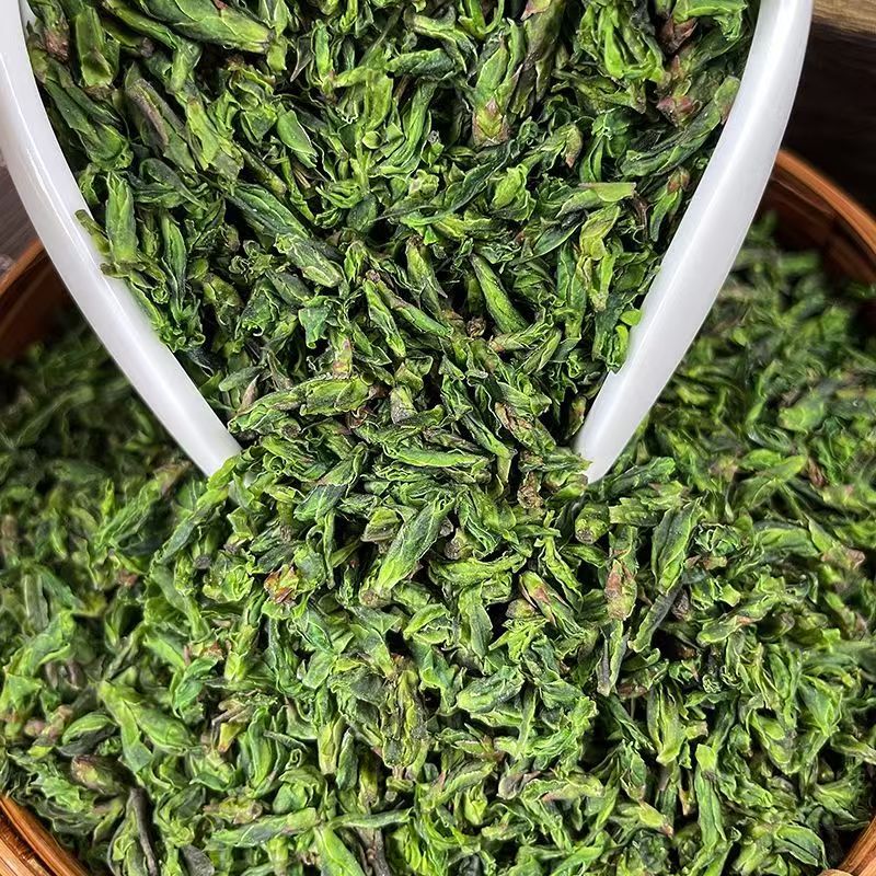 峨眉山米芽苦丁特级嫩芽茶2024新茶颗颗独立青山绿水头采茶