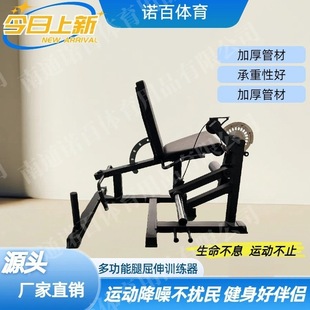Multifunctional Flexion Leg Trainer Commercial Gym Leg Strength Mechanical Fitness Bench