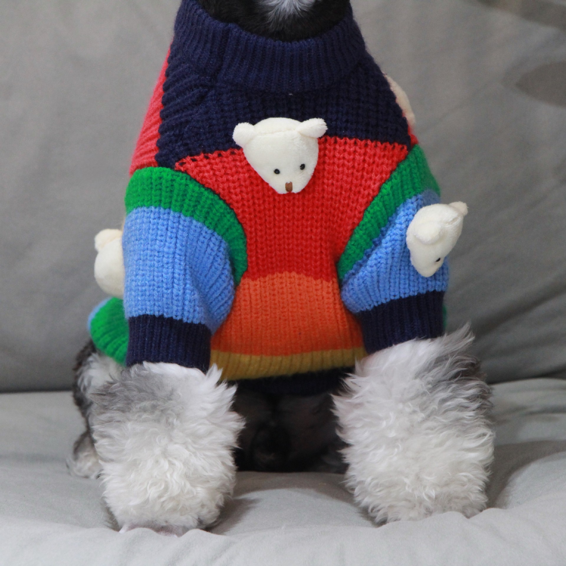 개 옷 겨울 따뜻한 FADOU SCHANERY BEARS 테디 차이 개 웨스트 하이랜드 애완 동물 스웨터 레인보우 니트