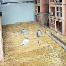 1.2�׽ն���ɻ�C���ݾ����ݺ��C ����ι�B�ݚ��әC �������{