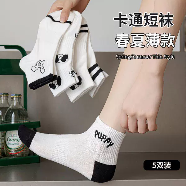 WD52 Plant Socks Little Black Dog