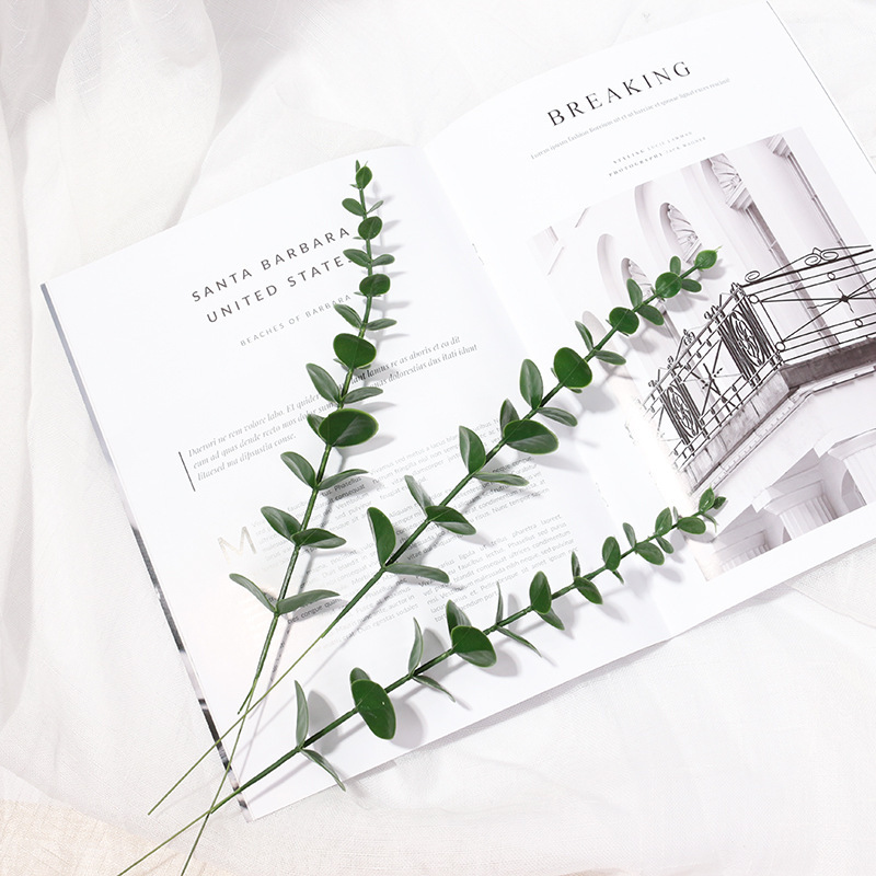 Ins Style Eucalyptus Artificial Flower Photo Props Gourmet Jewelry Nail Art Ornaments Decorative Shooting Artificial Flower Background