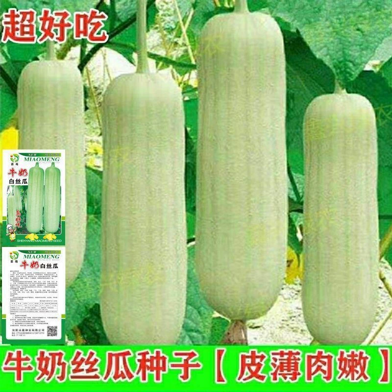 Молоко № 2 семена люфы семена раннеспелые высокоурожайные овощи четыре сезона весна и осень посев новых сортов овощей