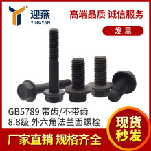 8.8���l�������Ƿ��m����˨���XGB5789�����X���Ƿ��m�ݽzM10-M16