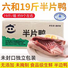 ����19���߅�������������������r������Ͱ�Ƭ������